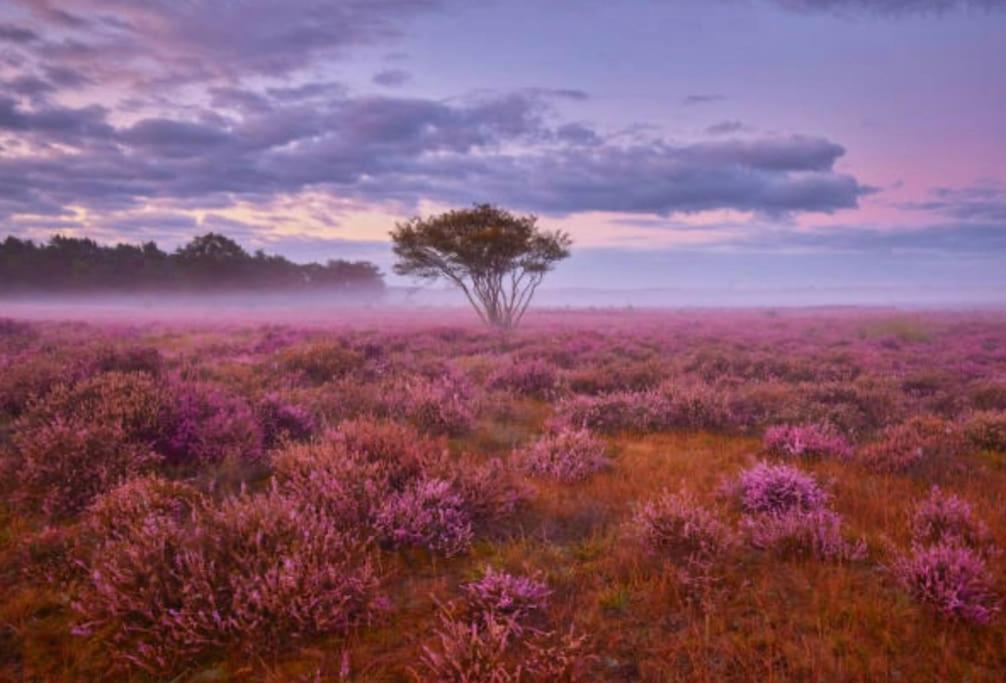 Veluwe Boutique Lodge Putten Buitenkant foto